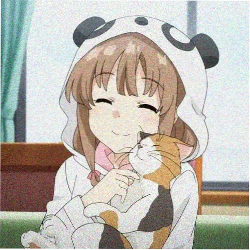 观众头像 南风起